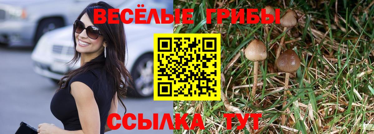Галлюциногенные грибы Magic Shrooms  Вход с VPN  Красноуфимск  Псилоцибиновые грибы Psilocybe 